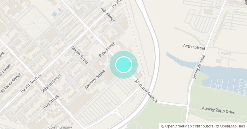 Map of Communipaw Branch, 295 Johnston Ave, with its pin