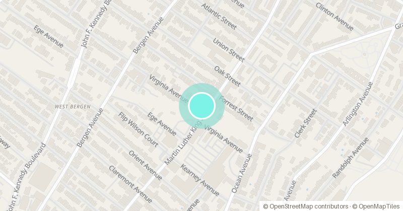 Map of Learning Tree, 411 Martin Lurther King Dr., with its pin