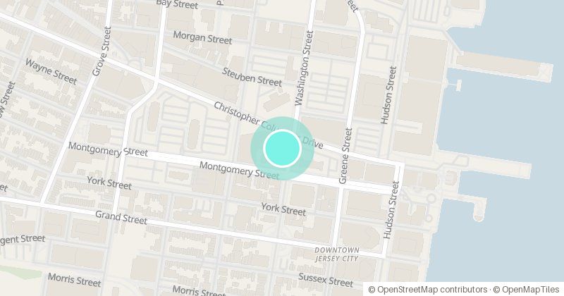 Map of PS 16 Annex, 275 Washington St., with its pin