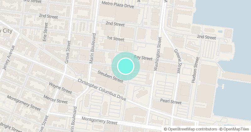 Map of NOVADO GALLERY, 110 Morgan Street, with its pin