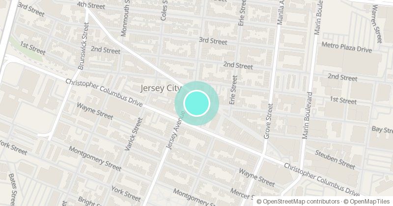 Map of Pet Shop, 193 Newark Avenue, with its pin